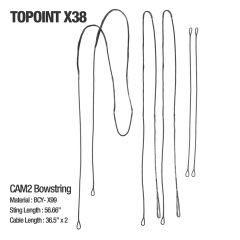 Topoint X38 CAM2