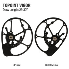 Vigor (2Pcs)