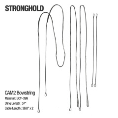 Stronghold CAM2