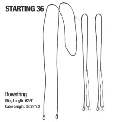 Starting 36