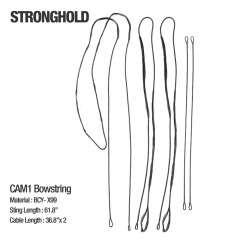 Stronghold CAM1