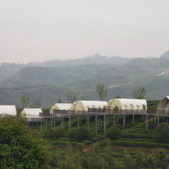 Lucky Capsule Tent | Premium Glamping Structure | B2B Supplier