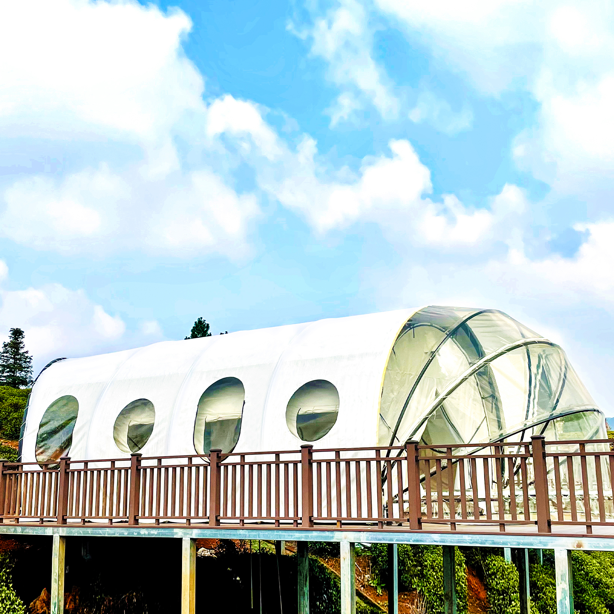 Lucky Capsule Tent | Premium Glamping Structure | B2B Supplier