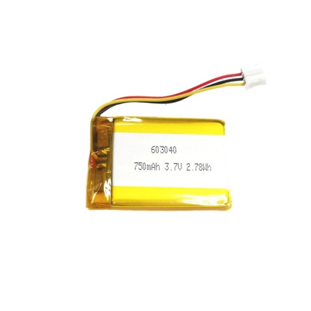 iBorn rechargeable li-polymer battery 603040 750mah 3.7V battery for electric guitar