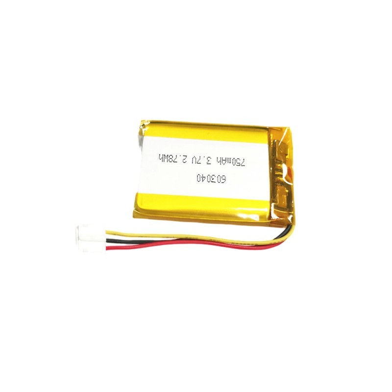 iBorn rechargeable li-polymer battery 603040 750mah 3.7V battery for electric guitar
