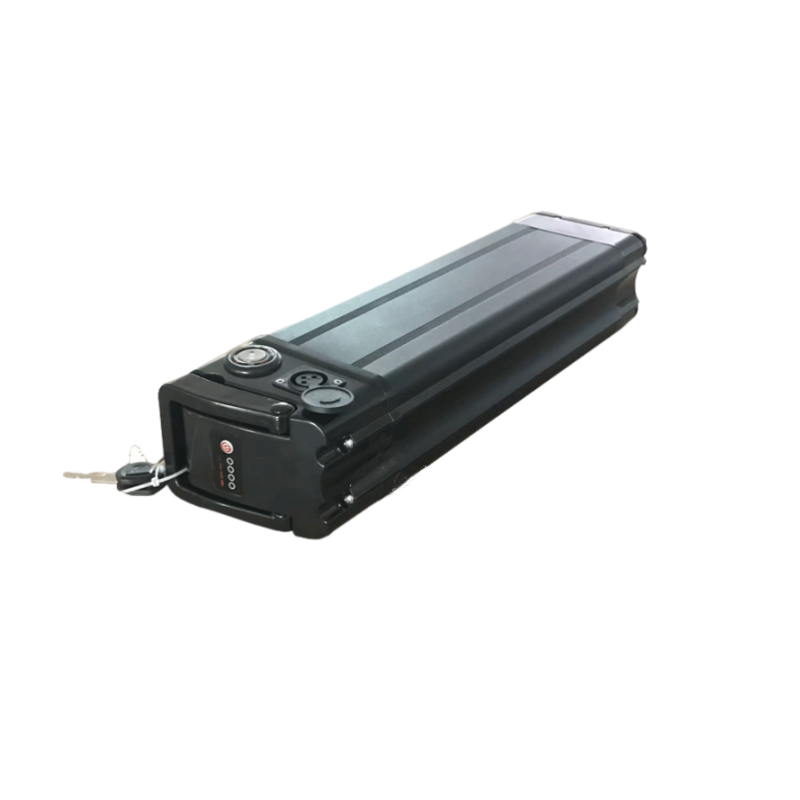24V 36V 48V Folding Bike Silver Fish Lithium Battery for Electric Bicycle (eBike)