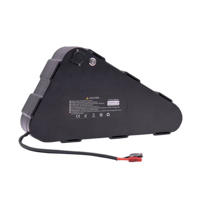 Custom 48V 52V 20Ah 25Ah 28Ah Triangle Lithium-Ion Battery Pack for E-Bikes