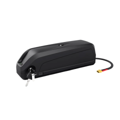 Factory Direct Hailong G80 48V 21Ah Li-ion Battery for E-bikes
