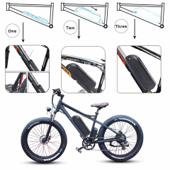 Factory Direct Hailong G80 48V 21Ah Li-ion Battery for E-bikes