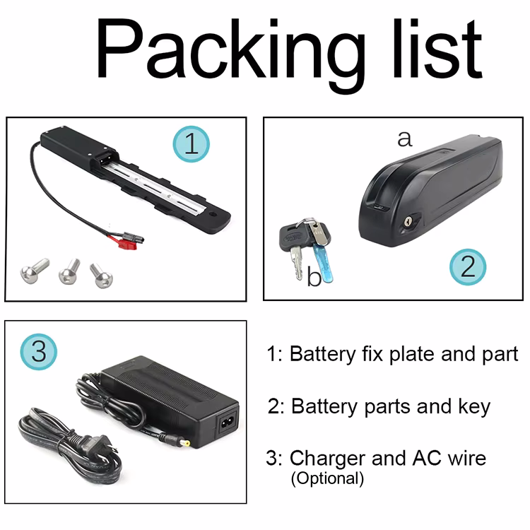 Hailong Downtube E-Bike Battery 36V 48V Lithium-Ion Battery