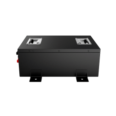 48V 50Ah LiFePO4 Golf Cart Battery with Communication Function