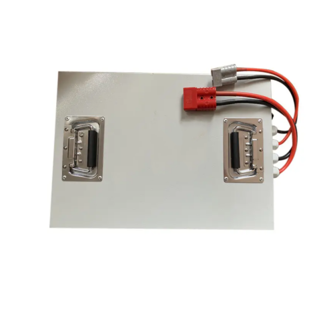 48V 60Ah Lithium Iron Phosphate Battery Pack with RS485 Communication