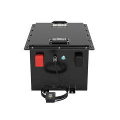 51.2V 100Ah 105Ah LiFePO4 Golf Cart Battery
