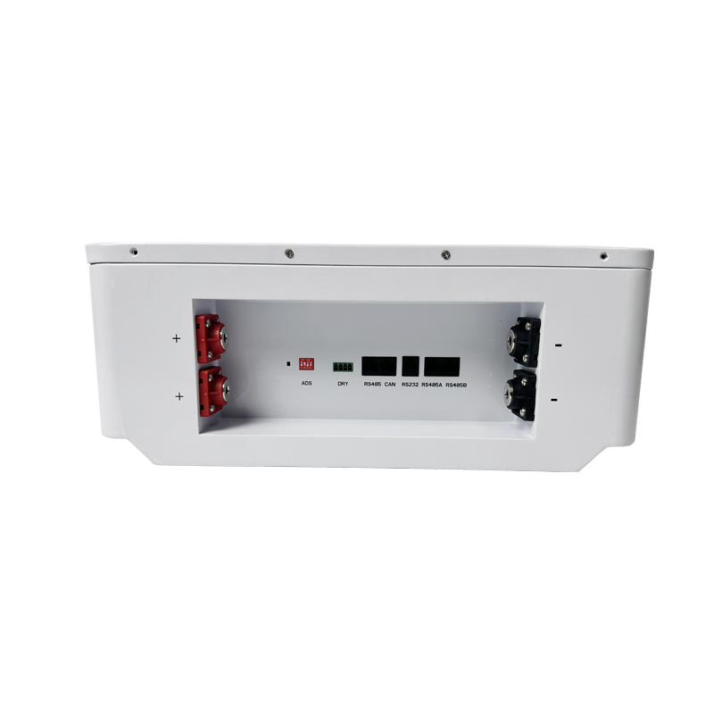 51.2V 100Ah Wall-Mounted LiFePO4 Battery Home Energy Storage Lithium Ion Battery Pack