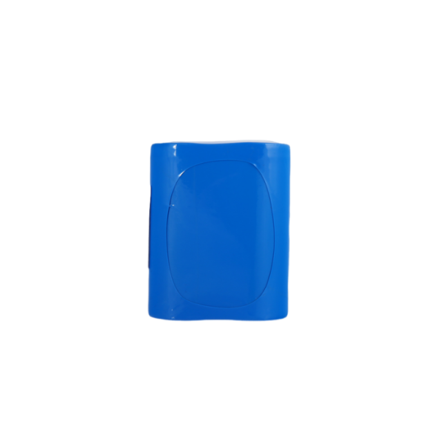 Custom LiFePO4 Battery Pack 9.6 Volt 6Ah Lithium Ion Battery 57.6Wh