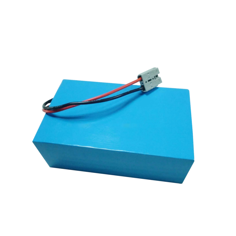 Long Lasting LiFePO4 36V 20Ah Electric Bike Battery
