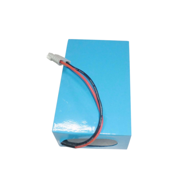 Long Lasting LiFePO4 36V 20Ah Electric Bike Battery