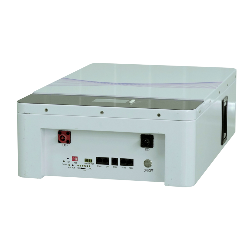 10kWh Home Energy Storage Battery | 51.2V 200Ah LiFePO4 Wall-Mounted System