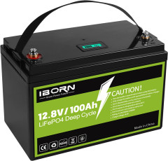 12V 100Ah Smart Lithium Iron Phosphate Battery