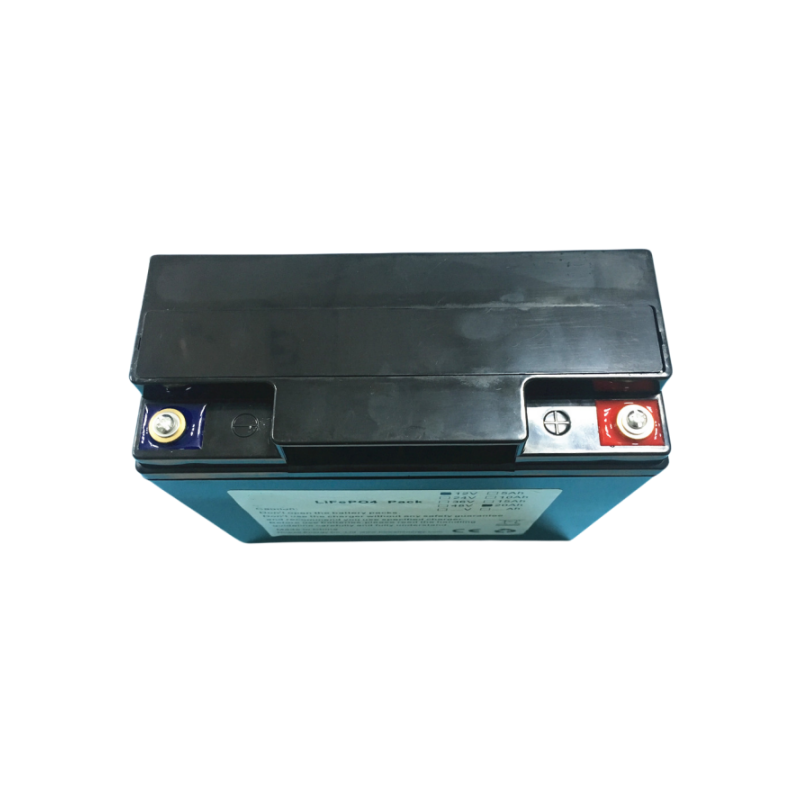 Lightweight deep cycle rechargeable 12V 20Ah LiFePo4 battery lithium ion