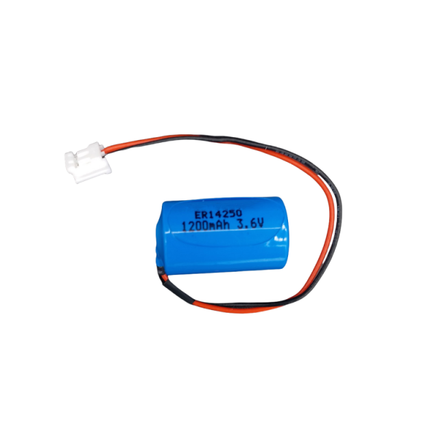12 AA Lithium Thionyl Chloride Battery 3.6V ER14250 1200mAh