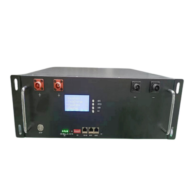 51.2V 100Ah Rack-Mounted LiFePO4 Energy Storage Battery  IP65 Certified