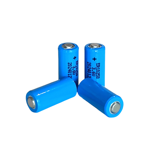 Small Size Reliable Li-SOCl2 Battery ER10250 3.6V 450mAh