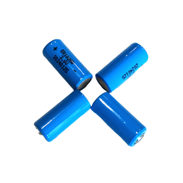 Small Size Reliable Li-SOCl2 Battery ER10250 3.6V 450mAh