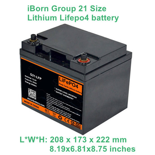 Group 21 Lithium LiFePO4 Battery For RV Trailer