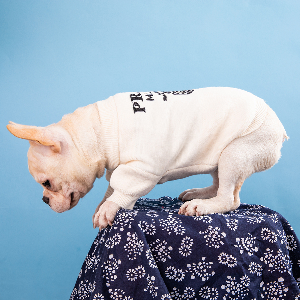 Luxury Style Designer Dog Knitted Sweater