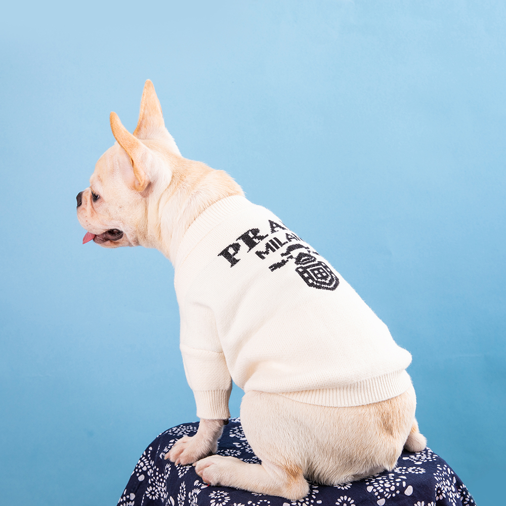Luxury Style Designer Dog Knitted Sweater