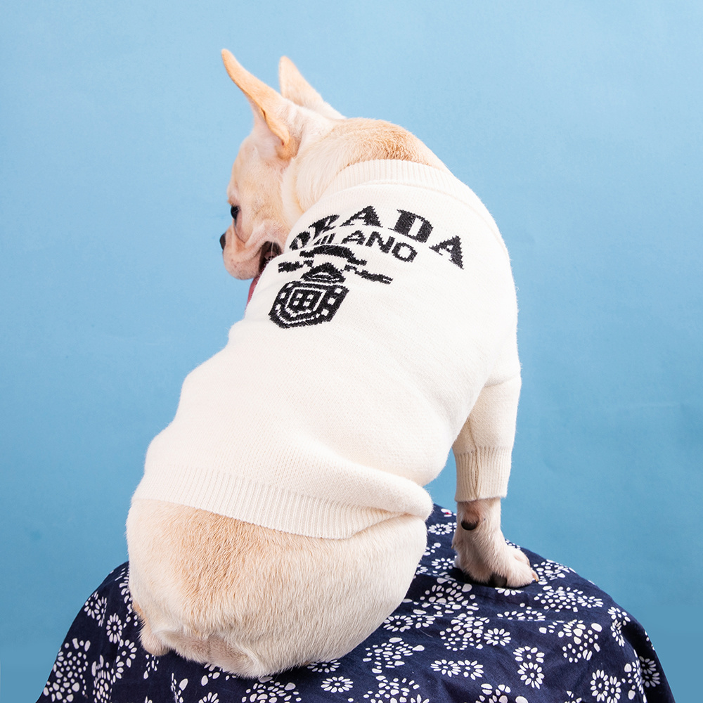 Luxury Style Designer Dog Knitted Sweater