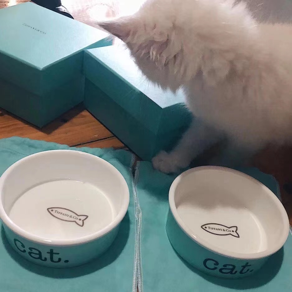 Luxury Style Designer Pet Bowl