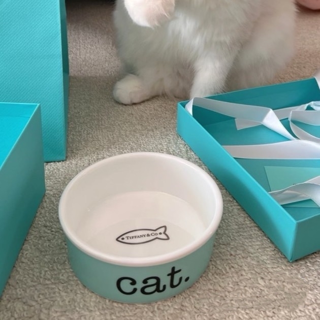 Luxury Style Designer Pet Bowl