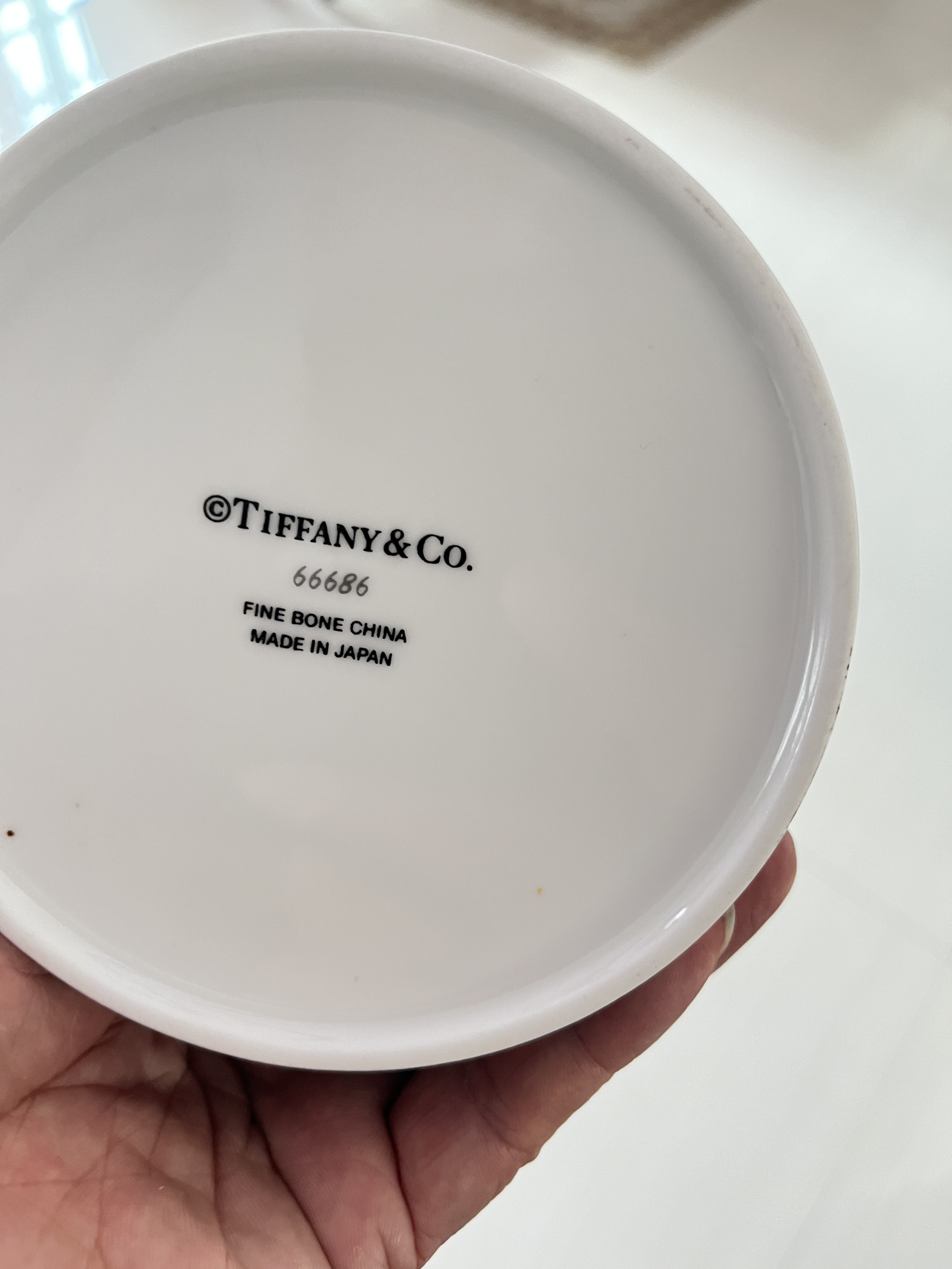 Luxury Style Designer Pet Bowl