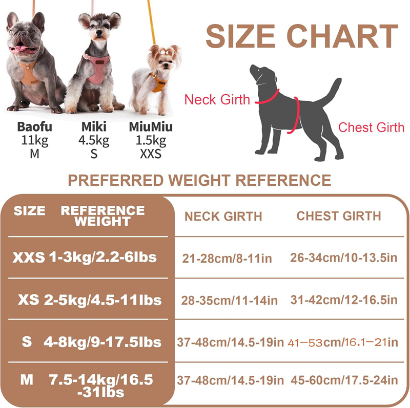 Luxury Style Designer Dog Harness and Multi-Functional Leash