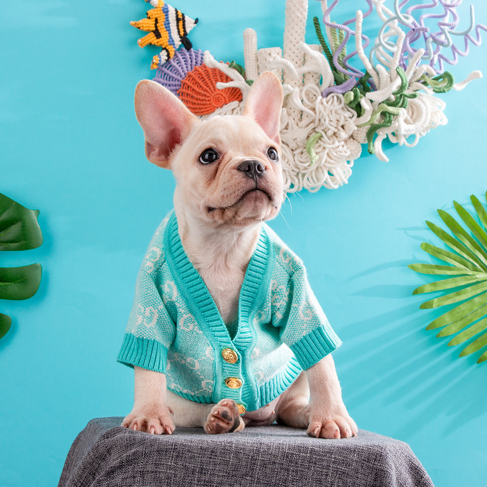 Multi-Color Brand-Patterned Fashionable GG Sweaters for Small Dogs