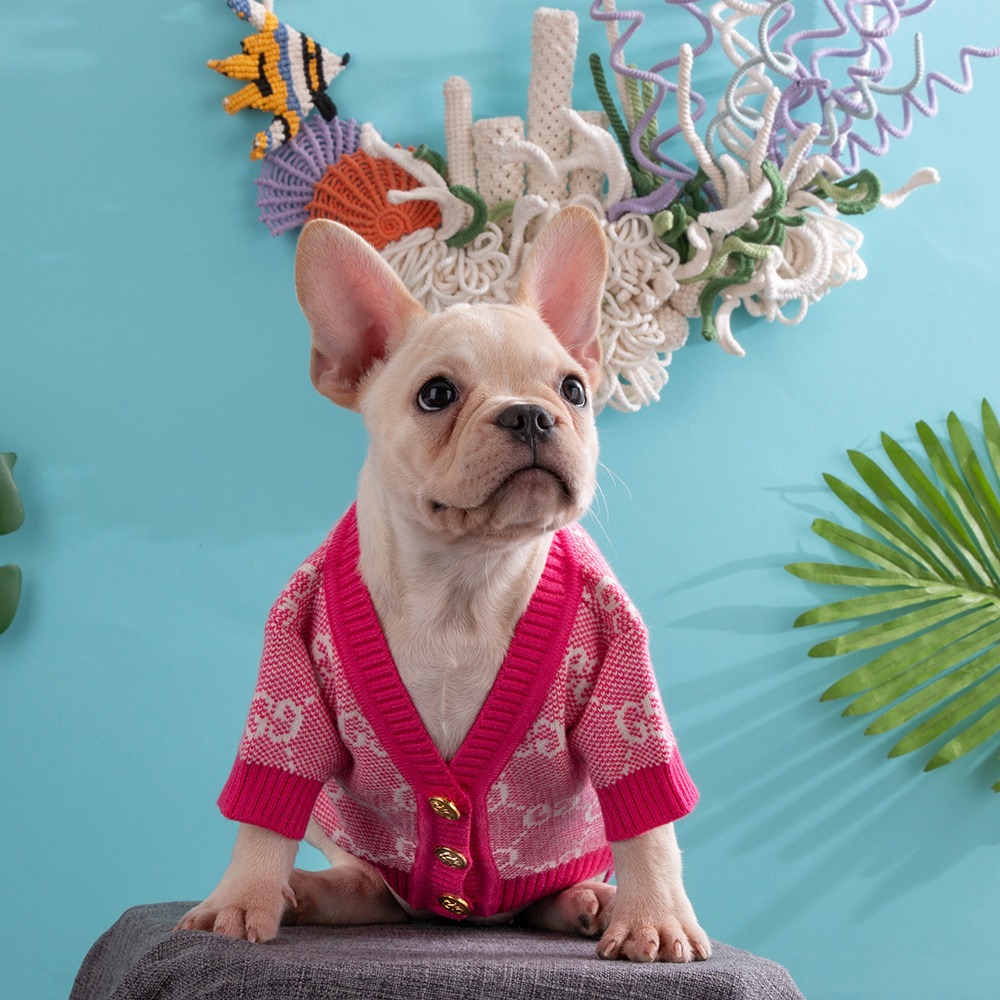 Multi-Color Brand-Patterned Fashionable GG Sweaters for Small Dogs