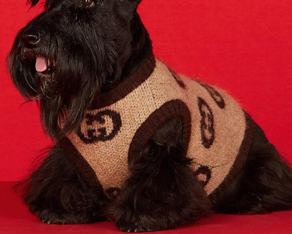 Beige-Brown Brand-Patterned Knitted Pet Sweater with Classic Double-G Design