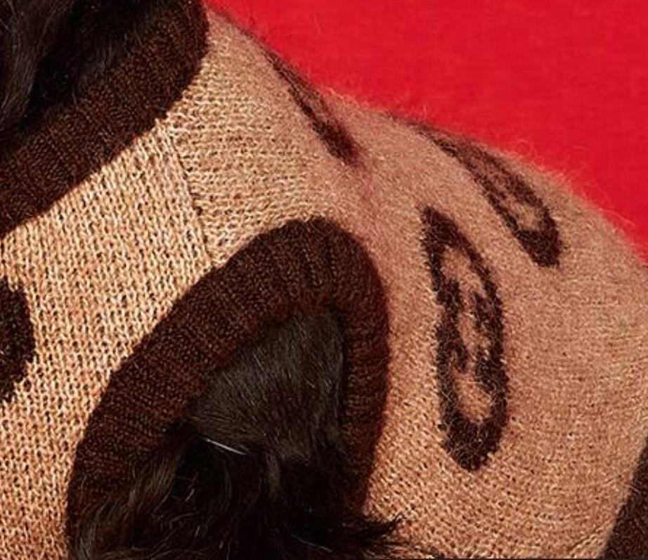 Beige-Brown Brand-Patterned Knitted Pet Sweater with Classic Double-G Design