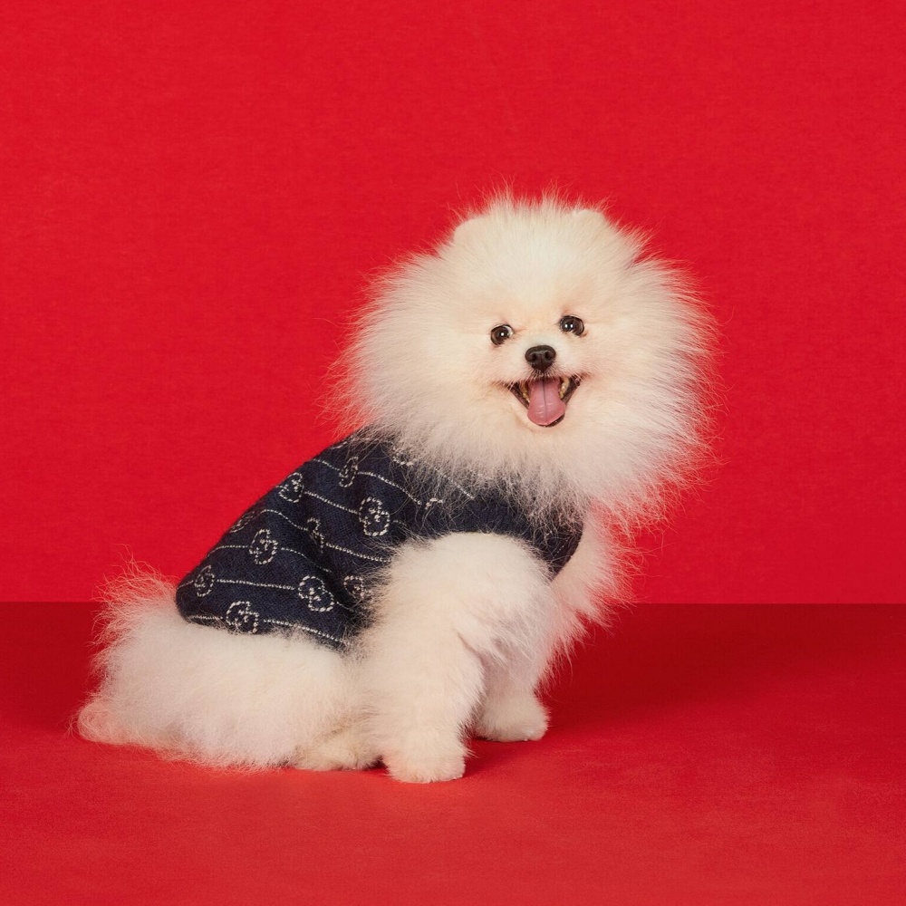 Black Brand-Patterned Knitted Pet Sweater with Classic GG Design