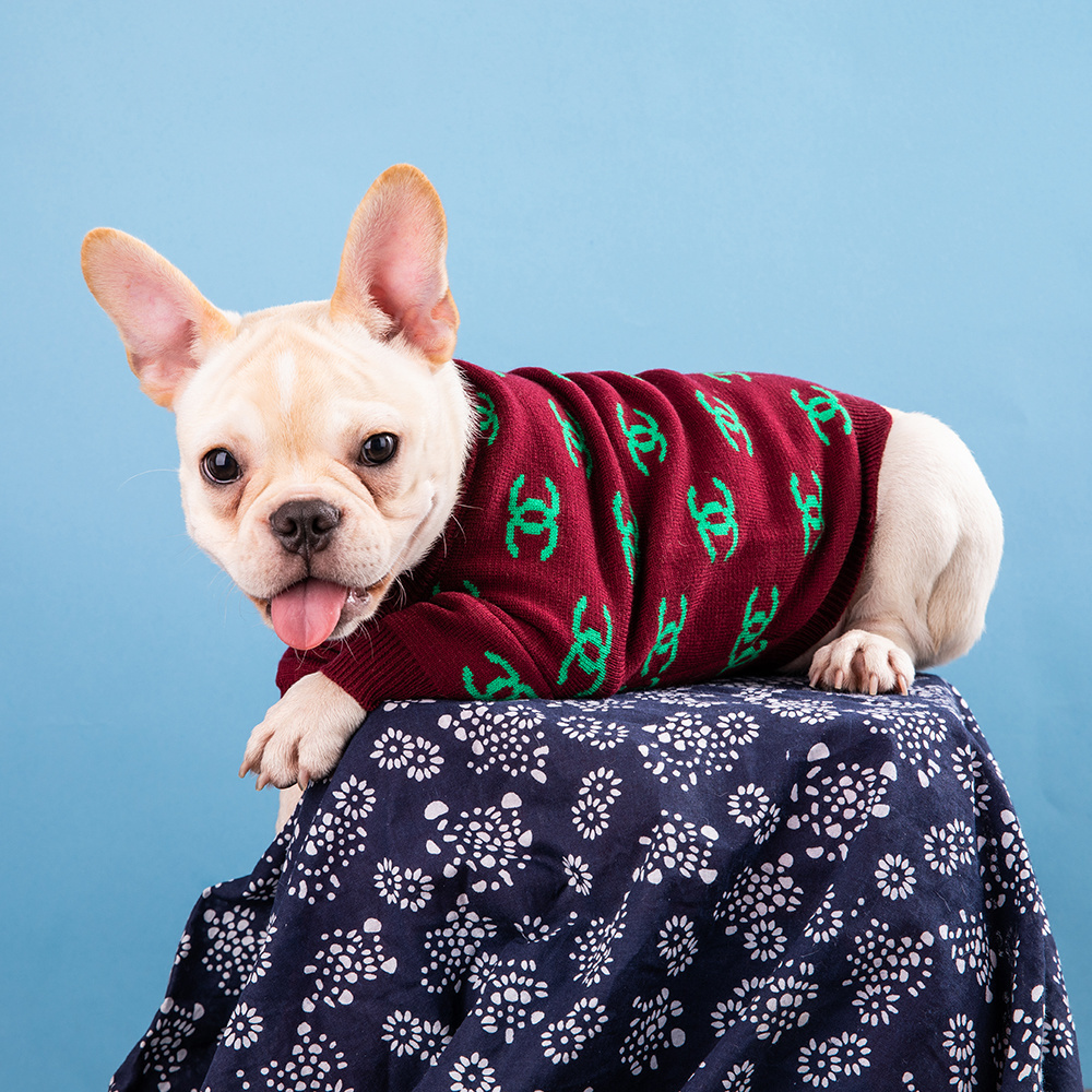 Chic Logo-Embroidered CCANEL Knit Pet Sweater in Brown-Green