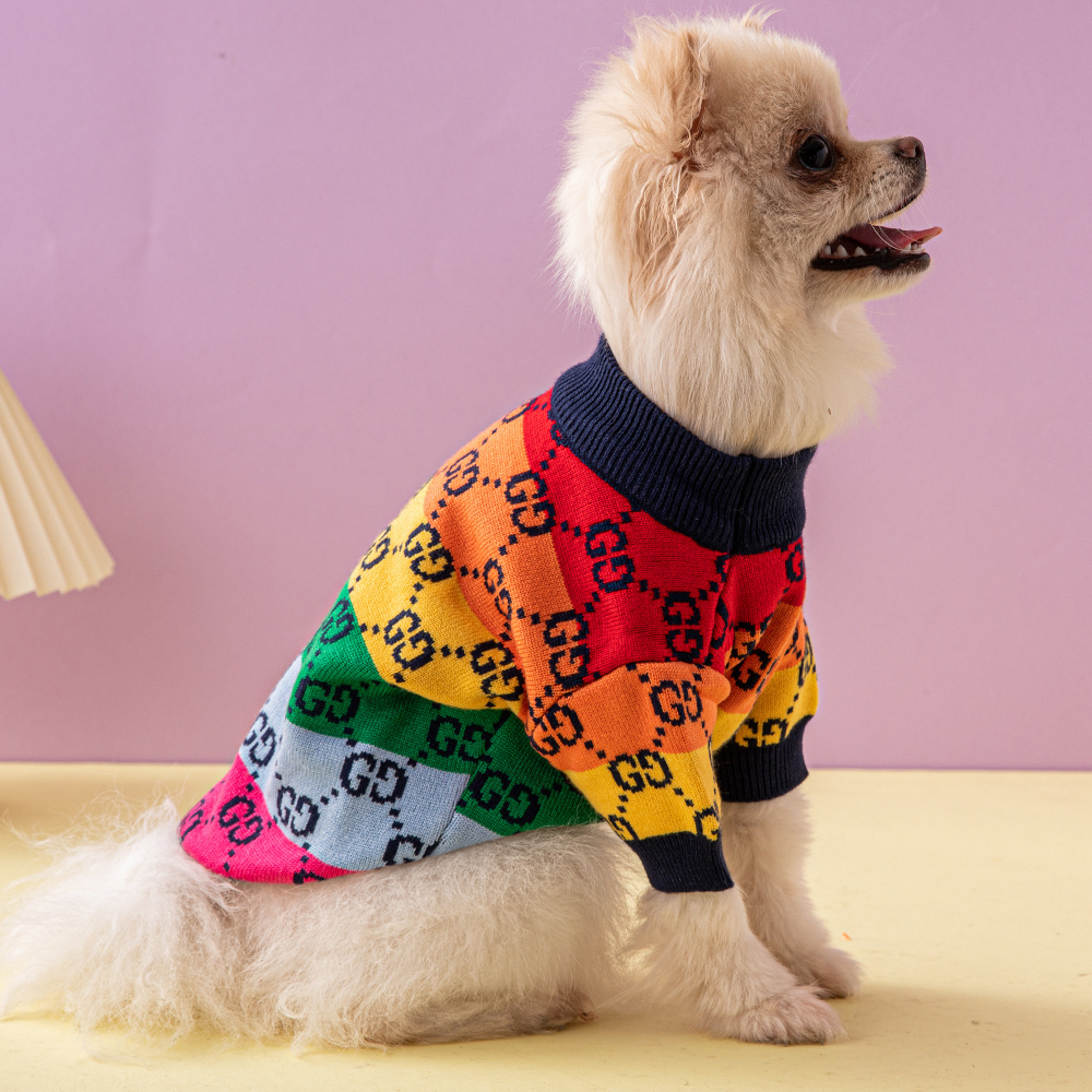 Rainbow Monogram Pattern Knit GG Pet Sweater with Bold Color Blocks