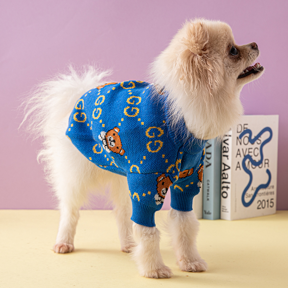 Playful Logo & Bear-Intarsia GG Knit Pet Sweater in Blue-Yellow