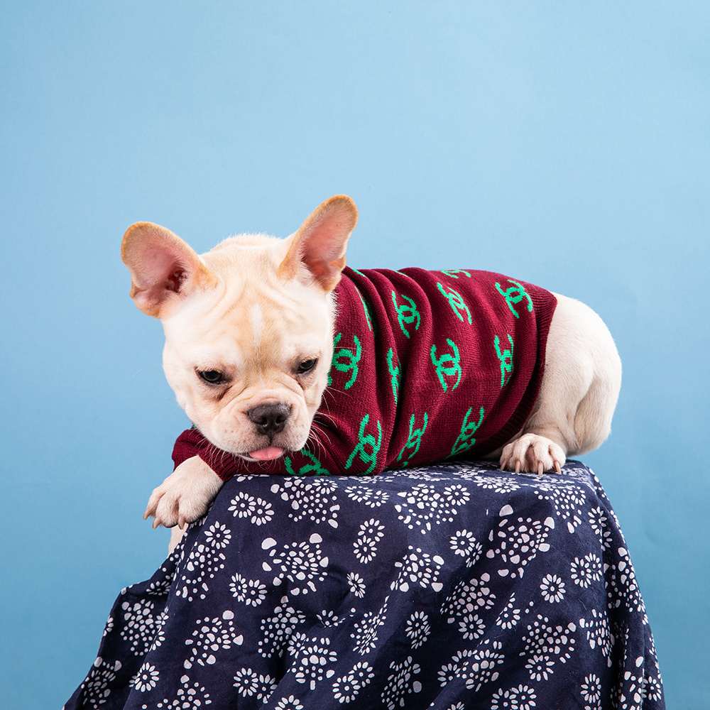 Chic Logo-Embroidered CCANEL Knit Pet Sweater in Brown-Green