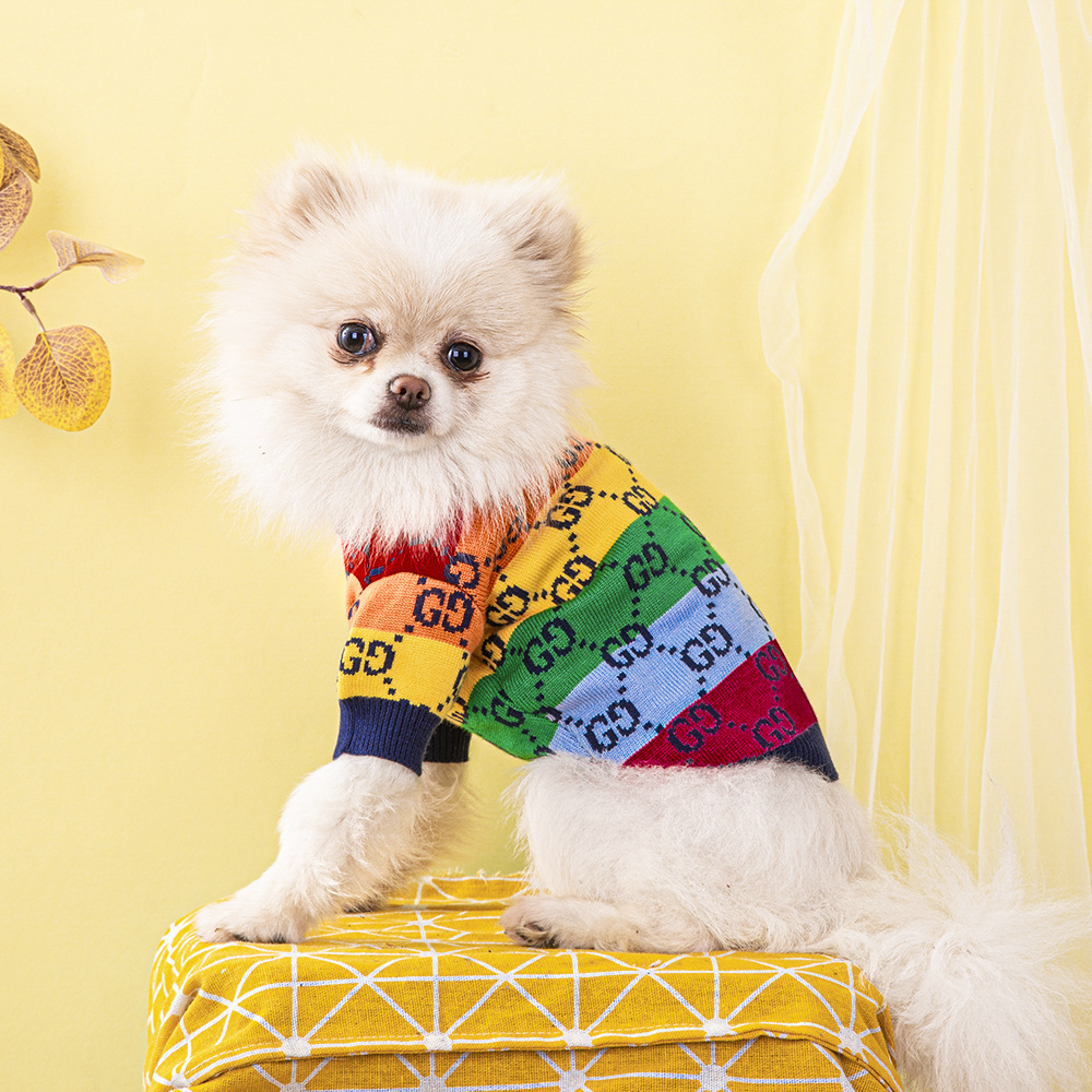 Rainbow Monogram Pattern Knit GG Pet Sweater with Bold Color Blocks