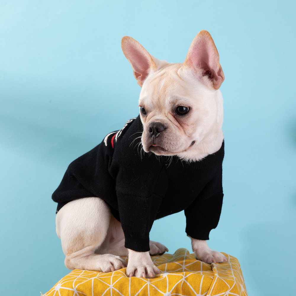 Street-Style Logo-Print and BBLENCIAGA Solid Knit Pet Sweaters in Black-White and Blue