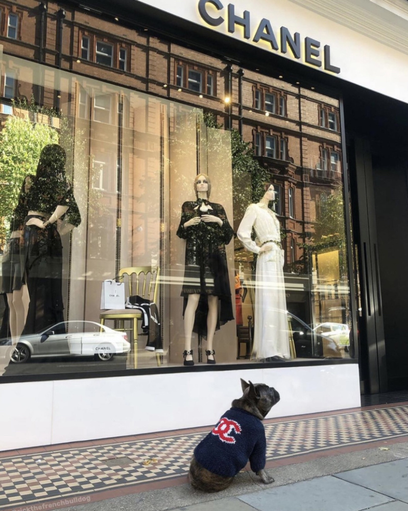 Plush Logo-Embroidered CCANEL Pet Sweaters in Pink-Red, Navy-Red, and Red-Black