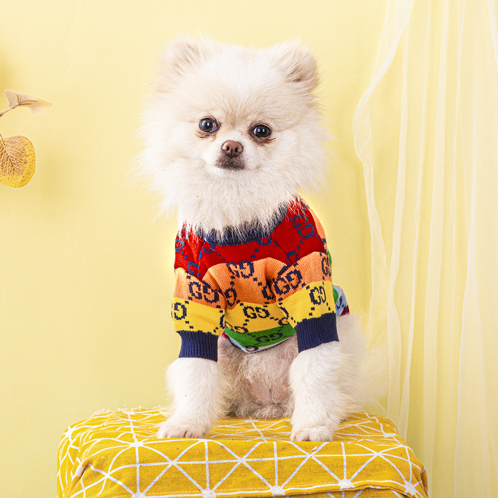 Rainbow Monogram Pattern Knit GG Pet Sweater with Bold Color Blocks