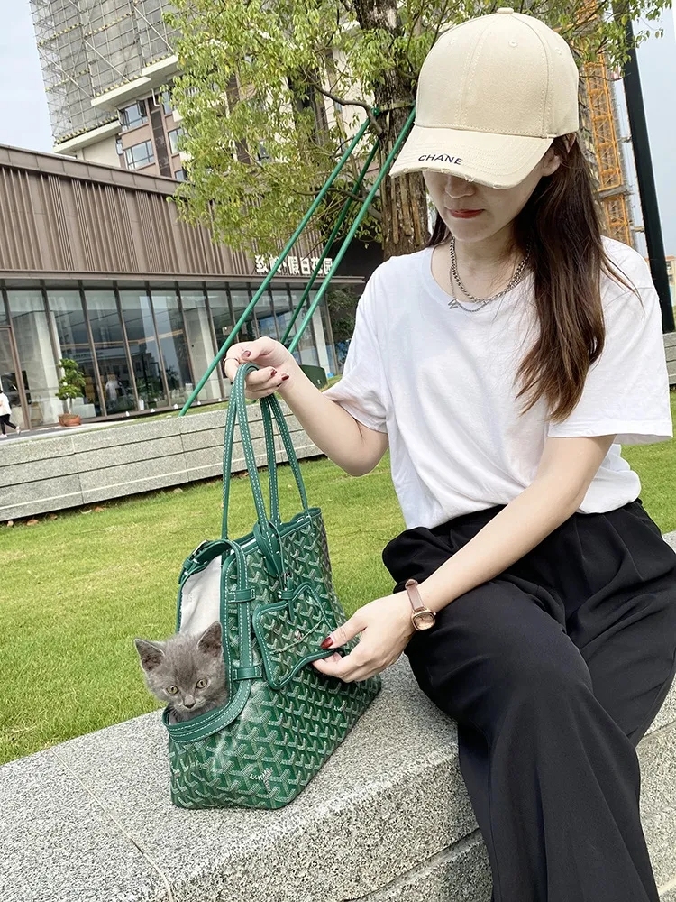 Designer Dog Carrier Bag Geyard Pets Bags